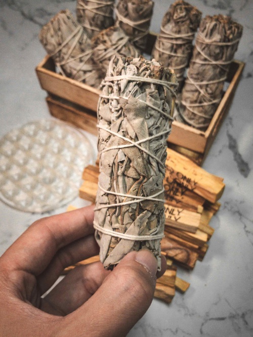 palasanto8_815125019