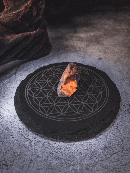 whatsapp_image_2021-06-26_at_1_09_15_pm